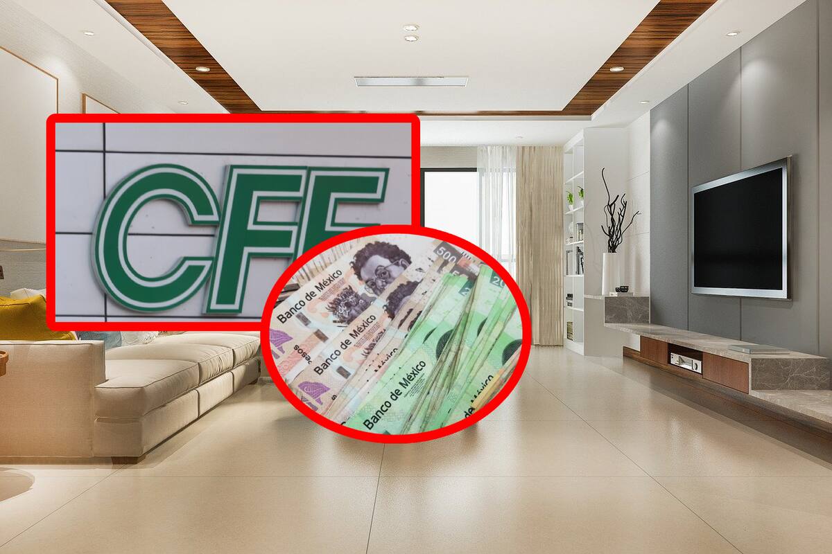 CFE: El aparato que debes desconectar porque consume mucha electricidad estando apagado