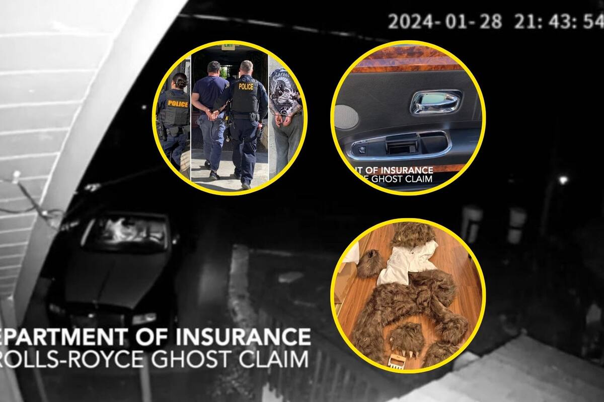 Detienen a banda que usaba un disfraz de oso para defraudar seguros en California