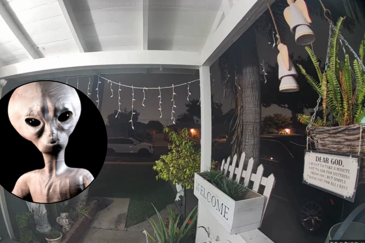 “Mamá es un extraterrestre, llama a la policía”, Mujer capta en video a supuesto extraterrestre en su jardín