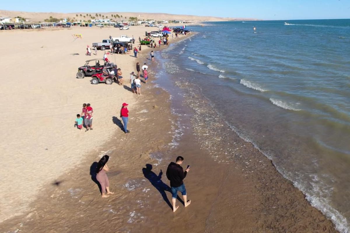 Menos pejerrey y más espacios vacíos en la playa; temporada 2026 preocupa a especialistas en el Golfo de Santa Clara