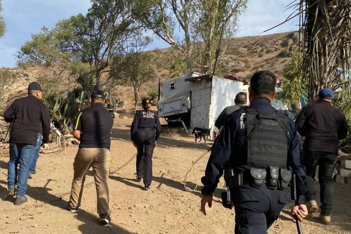 Policía municipal realiza campaña para capturar perros callejeros