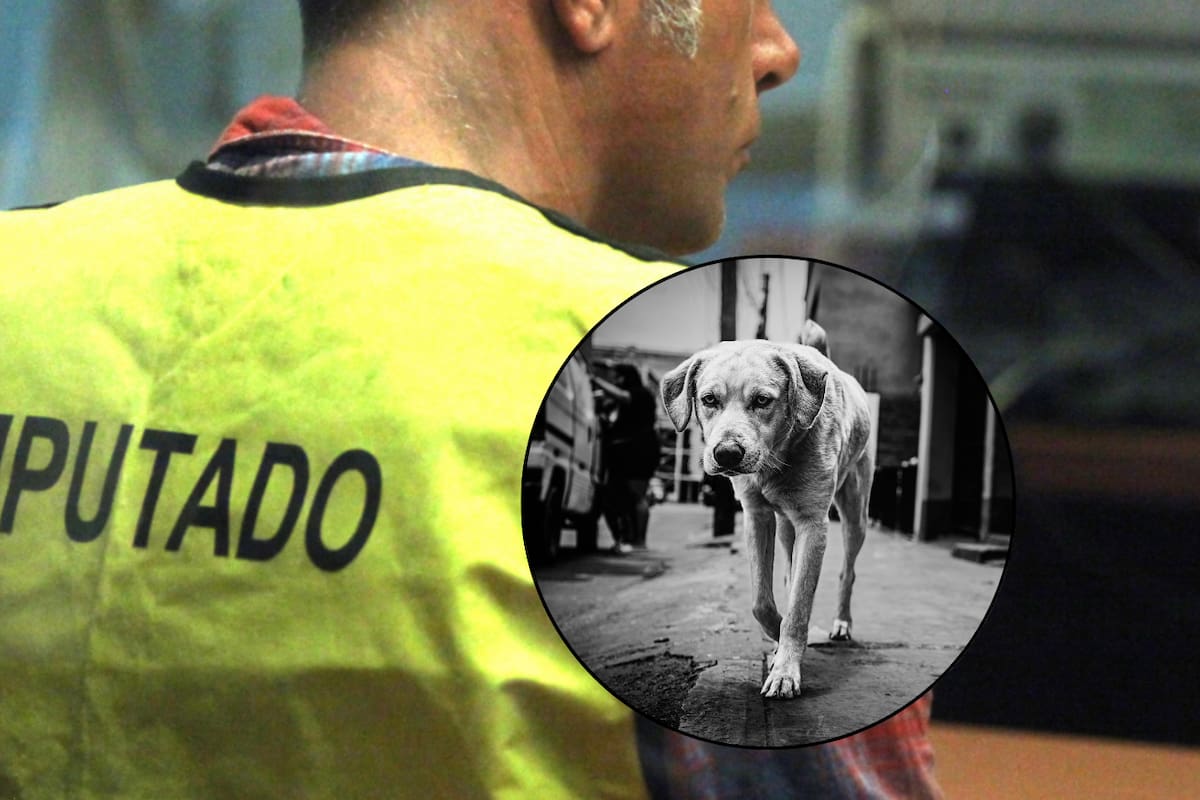 Usó dos perros callejeros para abusar sexualmente de su expareja; fue condenado a 15 años de prisión