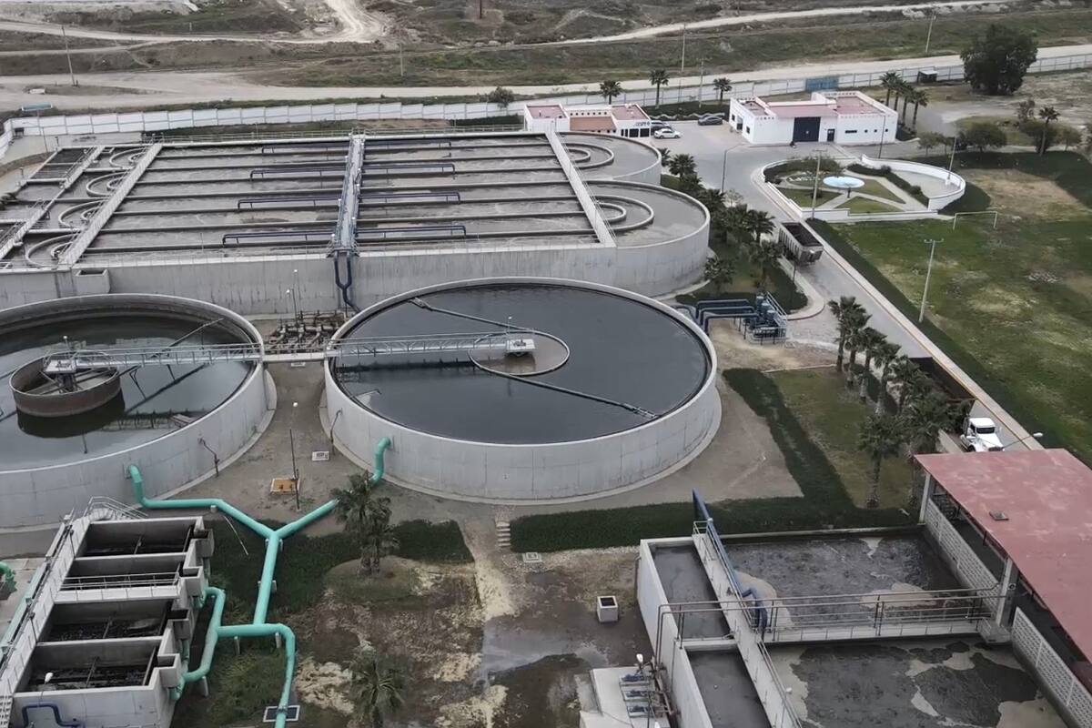 Aguas residuales producen vino en Tijuana