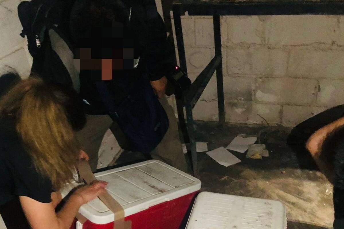 Catea FGR domicilios de “totoaberos” en San Felipe