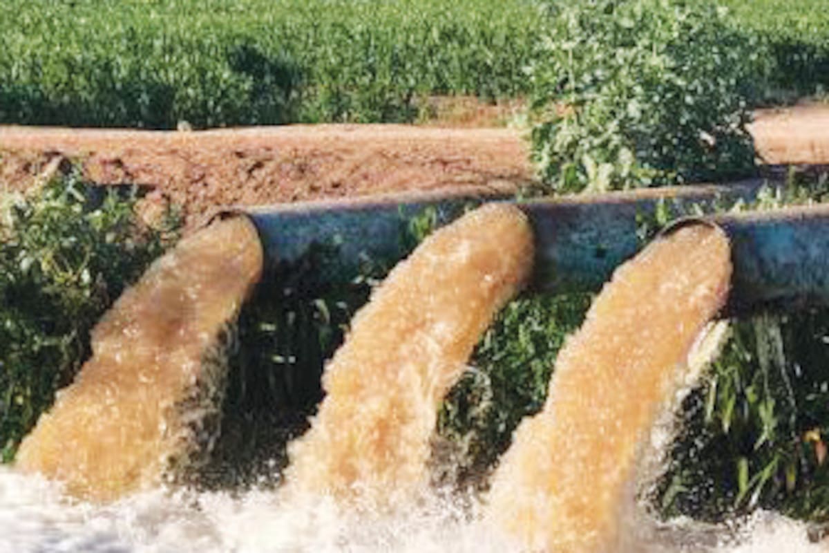 Piden productores del Valle del Yaqui relevo en módulos de riego; directivas no se renuevan desde hace 20 años