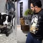 “De tal dueño, tal mascota”: Mujer capta a su esposo y a su perro enyesados al mismo tiempo… y en la misma pierna