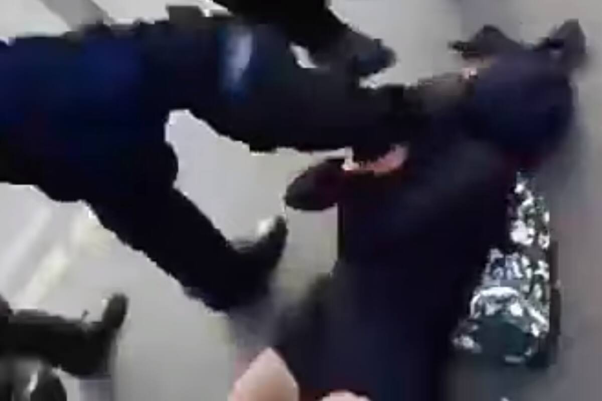 VIDEO: En CDMX policías patean en la cabeza a joven durante protesta por asesinatos de Giovanni y Floyd