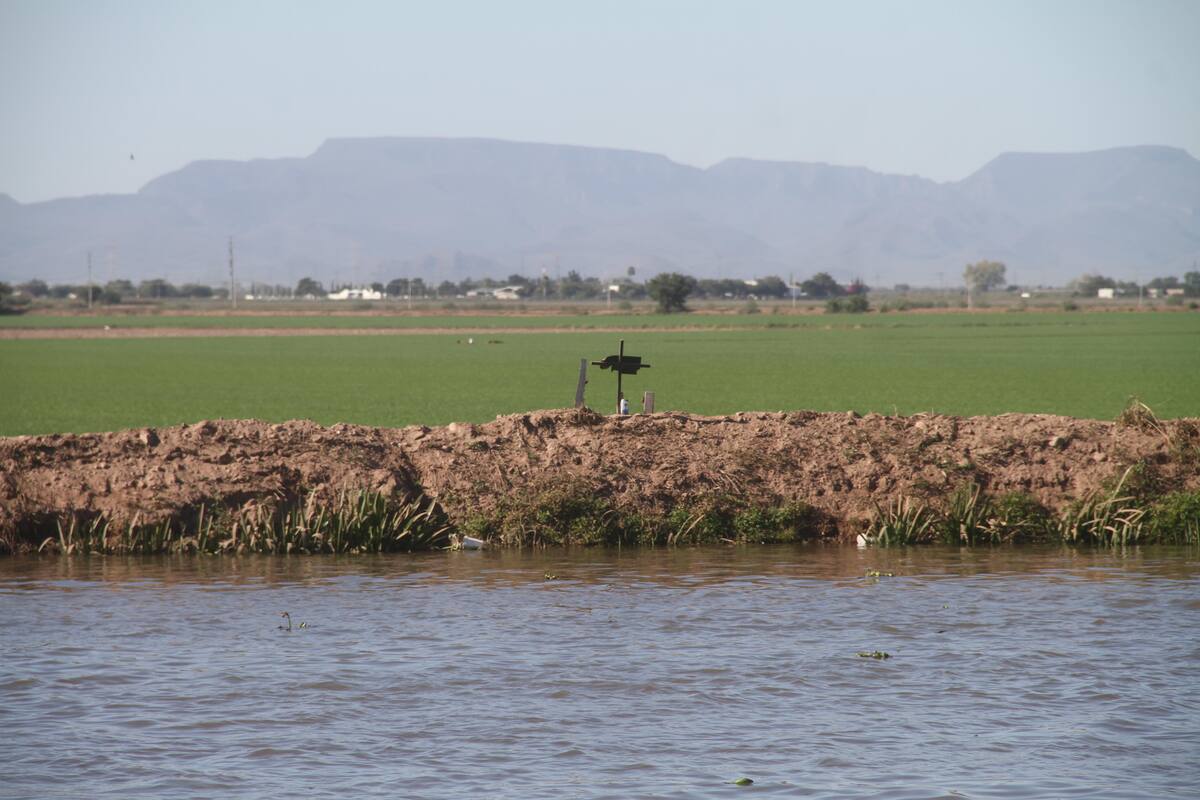 Producen canales riqueza para Cajeme, pero arrebatan vidas