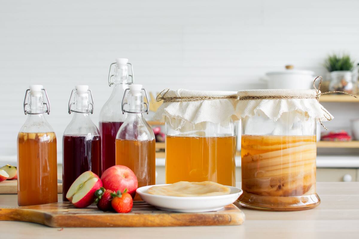 El abc de la Kombucha