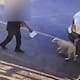 Detienen a hombre por arrojar agua hirviendo a una perrita en Ciudad Obregón