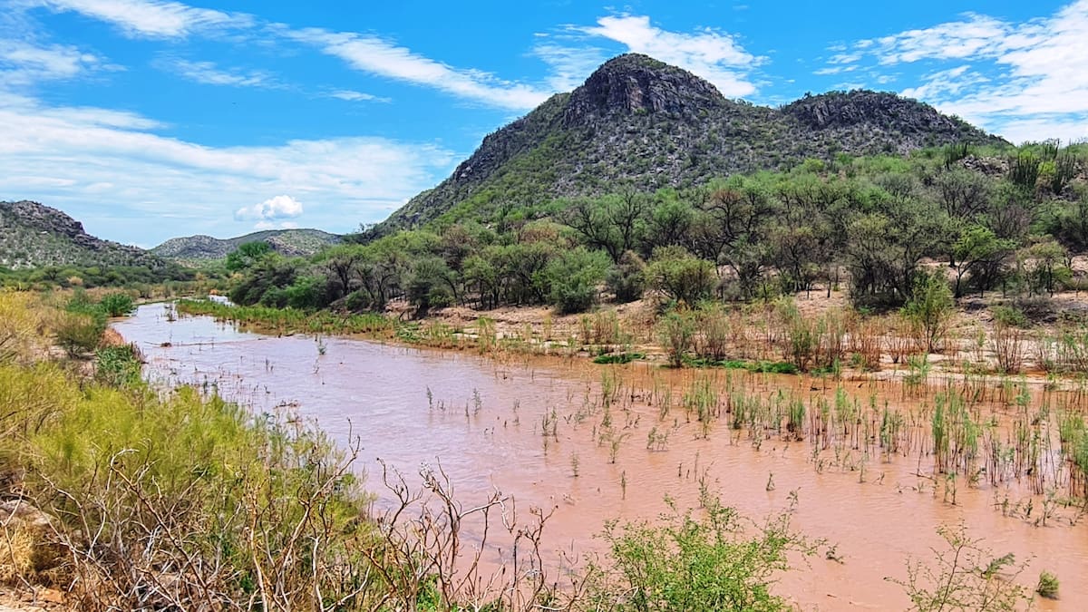 Semarnat inicia muestreo de metales en 402 kilómetros del Río Sonora para evaluar contaminación histórica