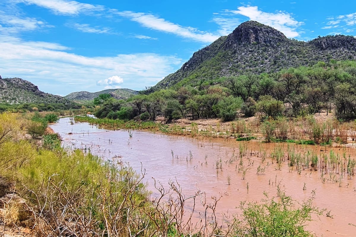 Plantea Semarnat remediar 50 sitios altamente contaminados en México, entre ellos el Río Sonora