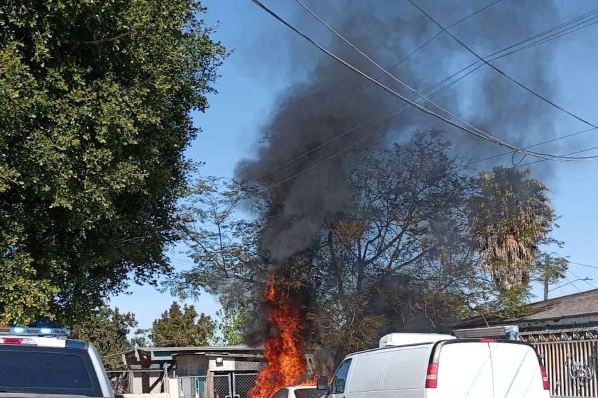 Detienen a 11 por Incidentes Violentos en Tijuana; 12 Hechos Afectaron Vehículos y Comercios