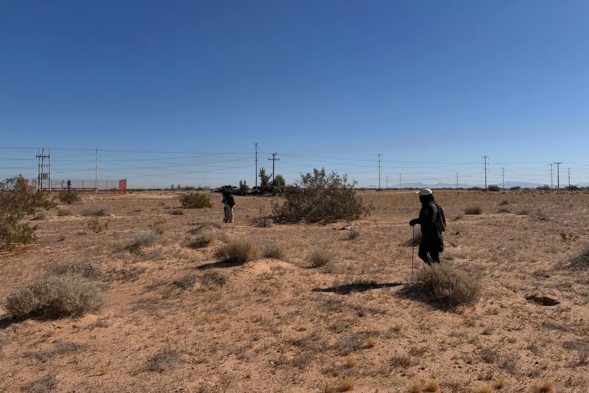 Sin rastros en búsqueda coordinada entre colectivos de Sonora y BC