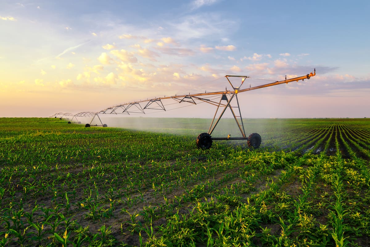 México casi cuadruplica sus importaciones de maíz blanco durante los primeros nueve meses de 2025 debido a menor producción nacional y condiciones climáticas adversas