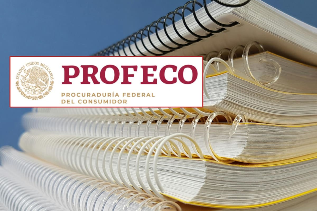 ¿Cuáles son los mejores cuadernos según la Profeco?