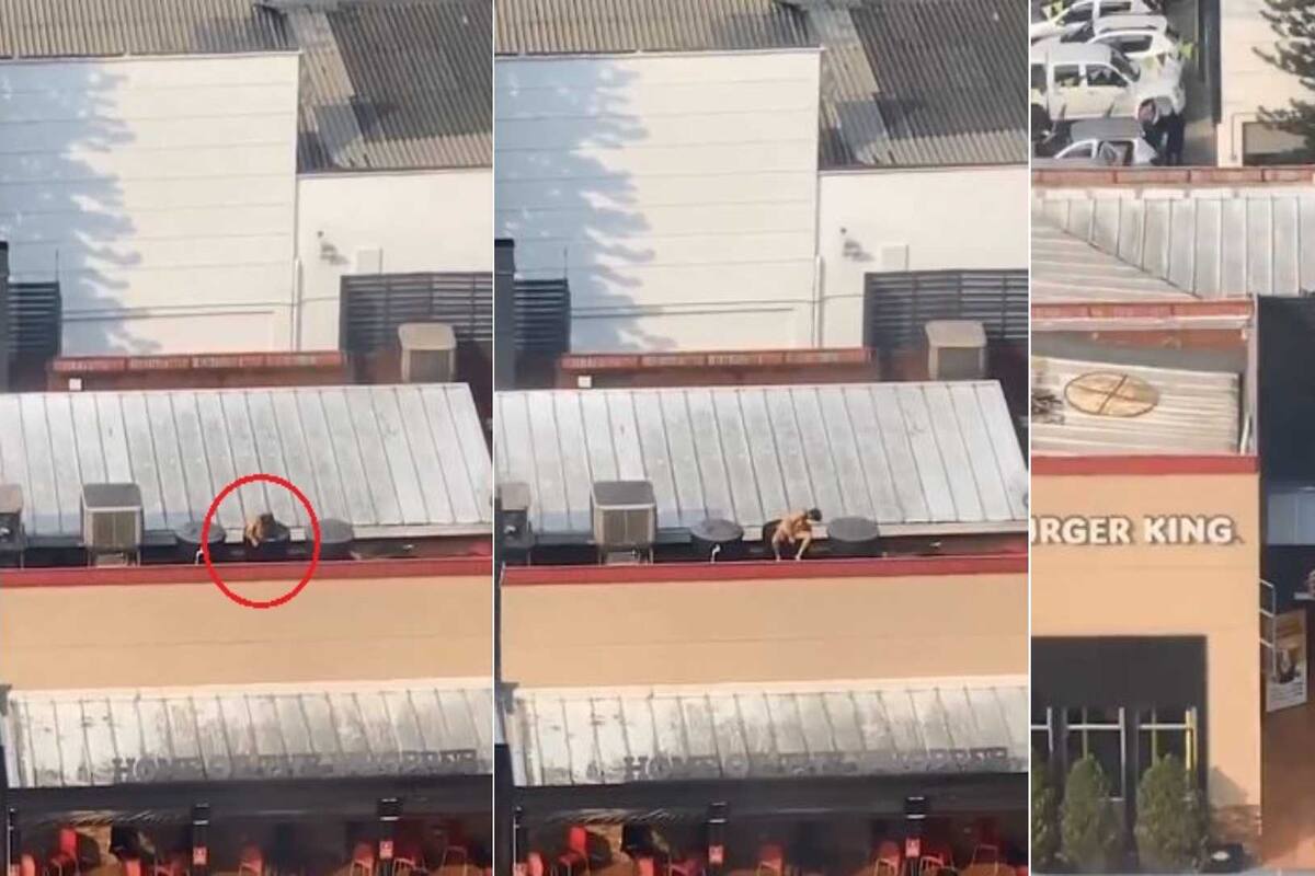 VIDEO: Hombre se baña desnudo en tanques de agua de Burger King en Colombia