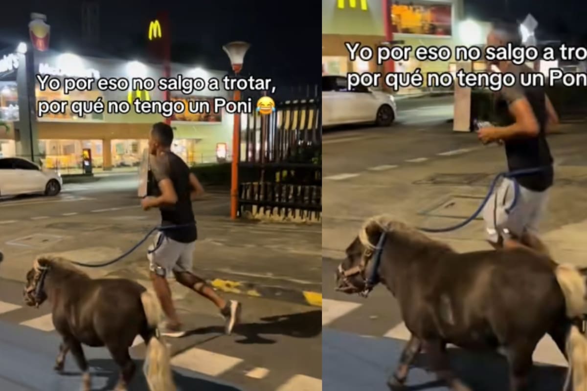 “Running en modo épico.”: Hombre se vuelve viral por salir a trotar con su pony al que le puso luces traseras en la cola