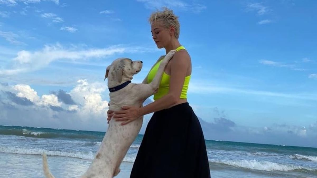 Rose McGowan: "Es una tierra realmente curativa", consigue residencia en México y afirma nunca regresará a USA