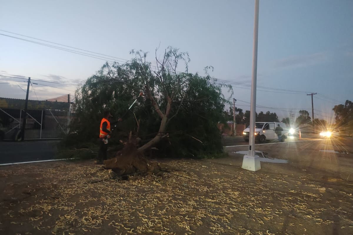 Gobierno de Mexicali coordina acciones tras apagones por lluvias en la zona Poniente