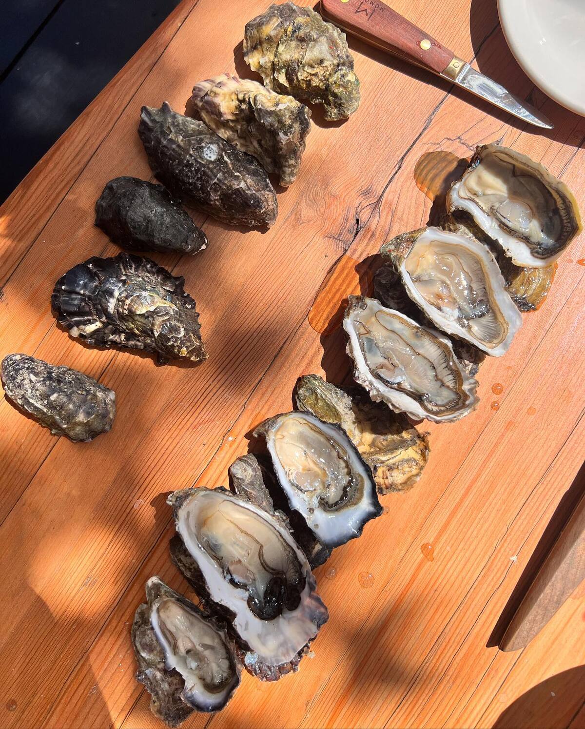 Tres restaurantes ubicados en el Valle de Guadalupe cuentan con la prestigiosa estrella Michelin. Foto: Cortesía