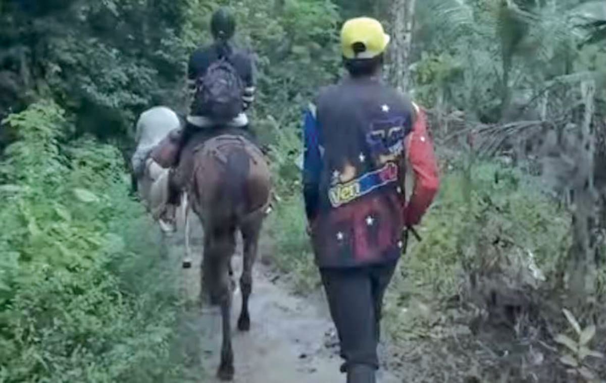 Migrantes venezolanos se internan en la peligrosa selva de Darién en la parte de Colombia. FOTO: CAPTURA DE PANTALLA