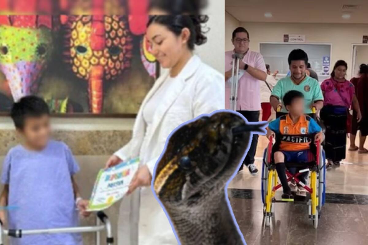 Niño de 12 años pierde una pierna al salvar a su hermana de serpiente