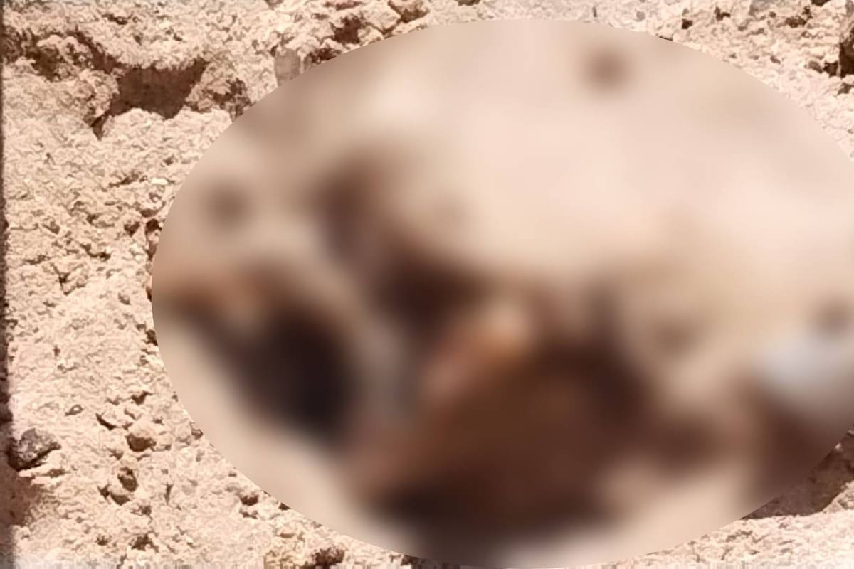 Encuentran cadáver calcinado dentro de fosa clandestina en San Felipe