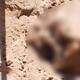 Encuentran cadáver calcinado dentro de fosa clandestina en San Felipe