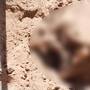 Encuentran cadáver calcinado dentro de fosa clandestina en San Felipe