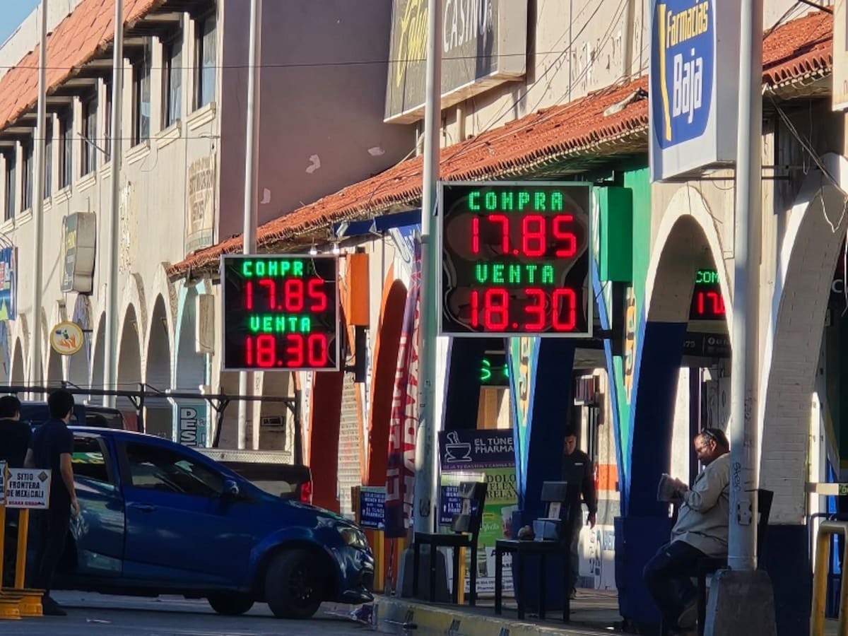 Crédito: Javier Gallegos