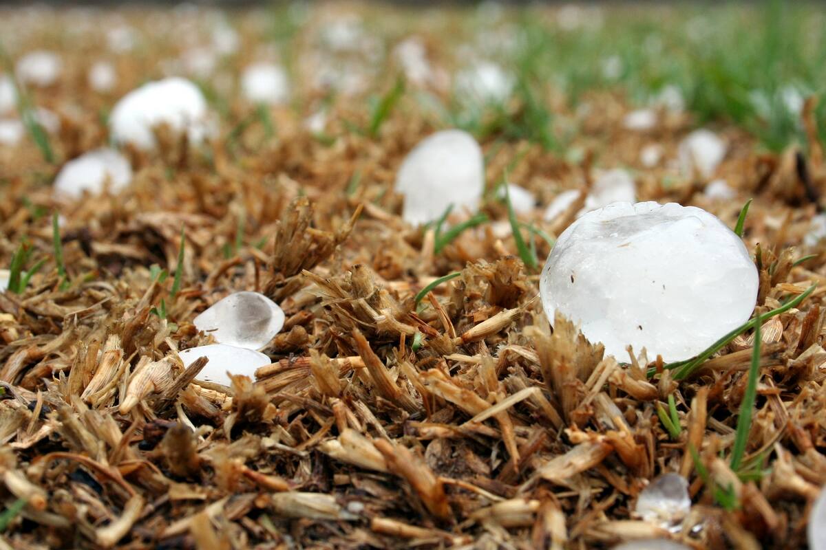 Se pronostican lluvias con descargas eléctricas y granizo en Coahuila, NL y Tamaulipas