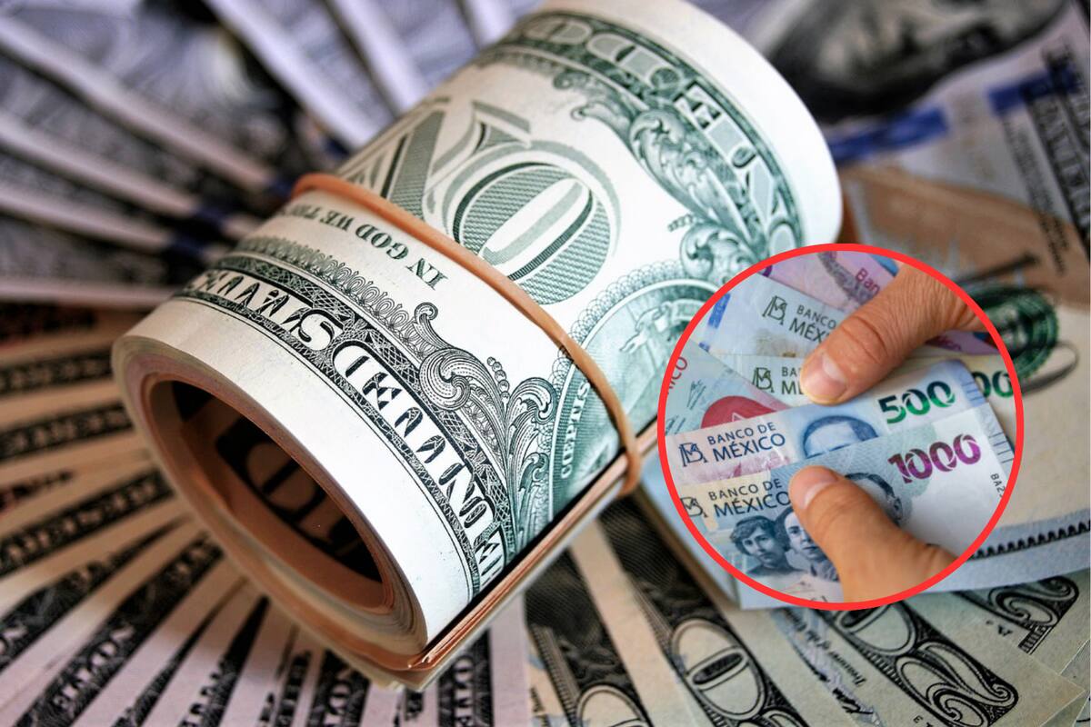 Dólar vs Peso: Así se cotiza el dólar en los principales bancos hoy domingo 24 de noviembre de 2024