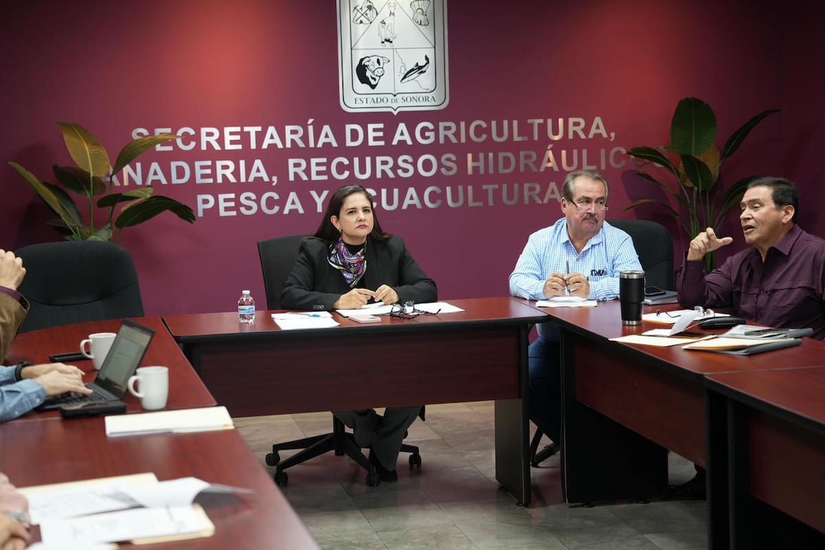 Avanza Sonora para reconocimiento internacional como zona libre de influenza aviar: Célida López