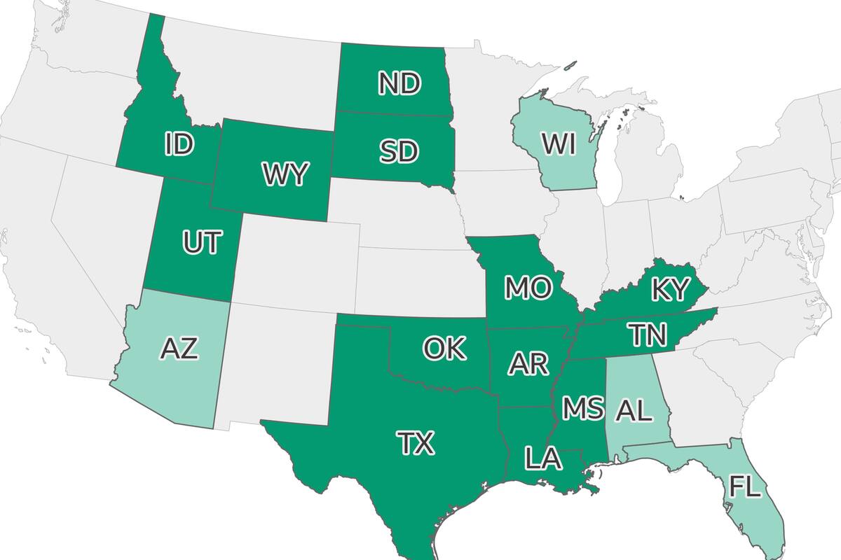 Aborto en Estados Unidos: el mapa que muestra dónde estará prohibido o restringido interrumpir el embarazo en el país tras la sentencia de la Corte Suprema
