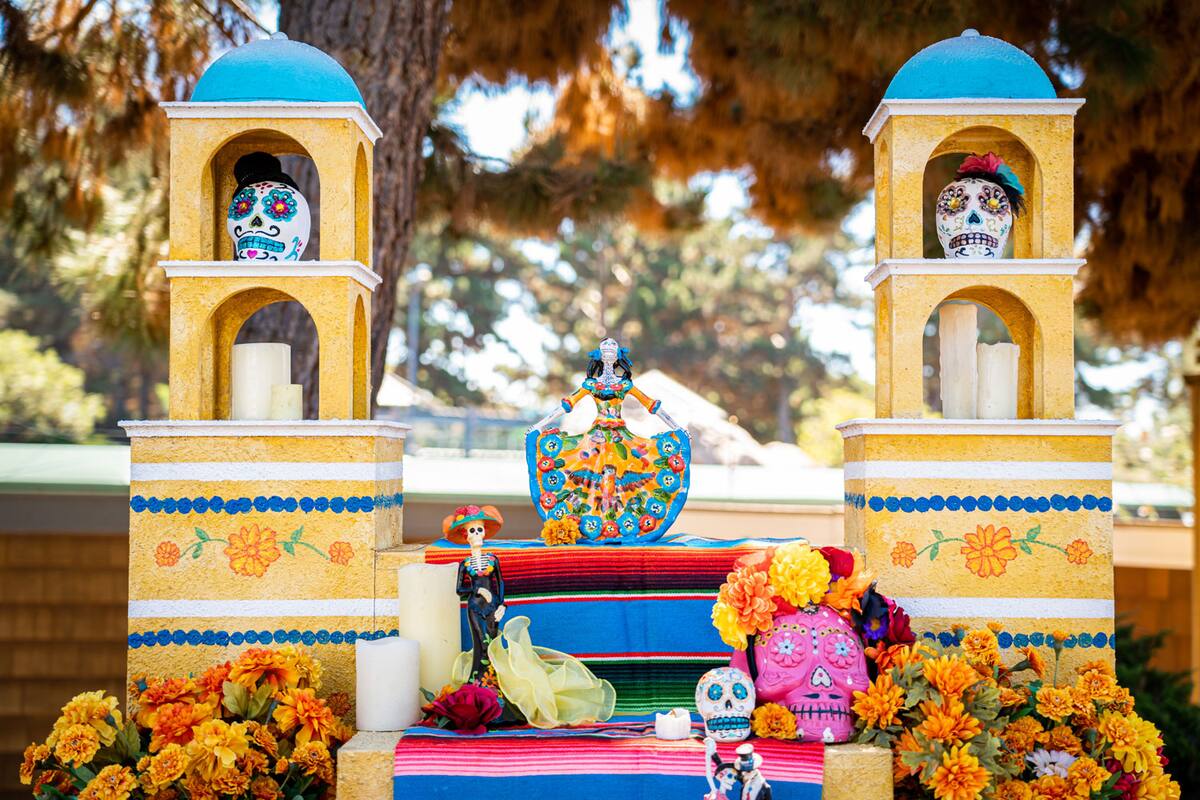 La celebración del Día de Muertos engalanará a SeaWorld San Diego