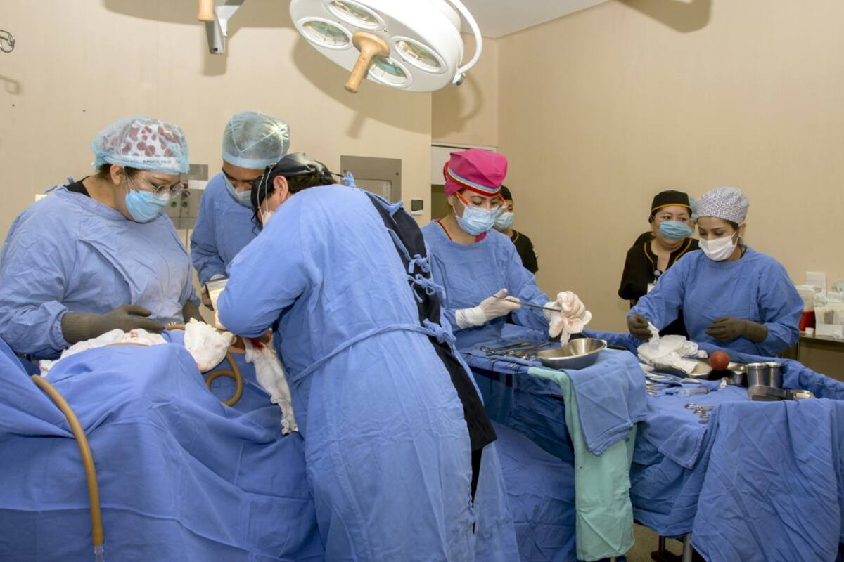 Hace 56 años IMSS realizó el primer trasplante de riñón; llaman a decir sí a donación