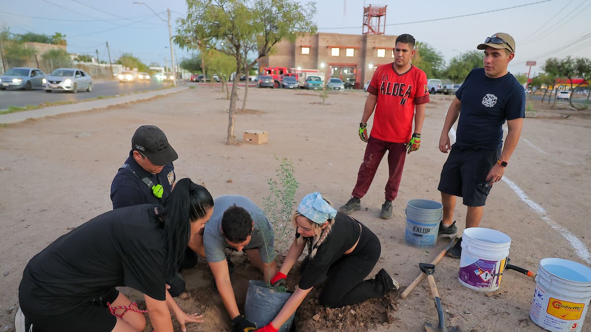 Parral, Chihuahua, inicia plantación masiva de árboles con 200 ejemplares y un programa que busca recuperar espacios urbanos y mejorar la calidad del aire
