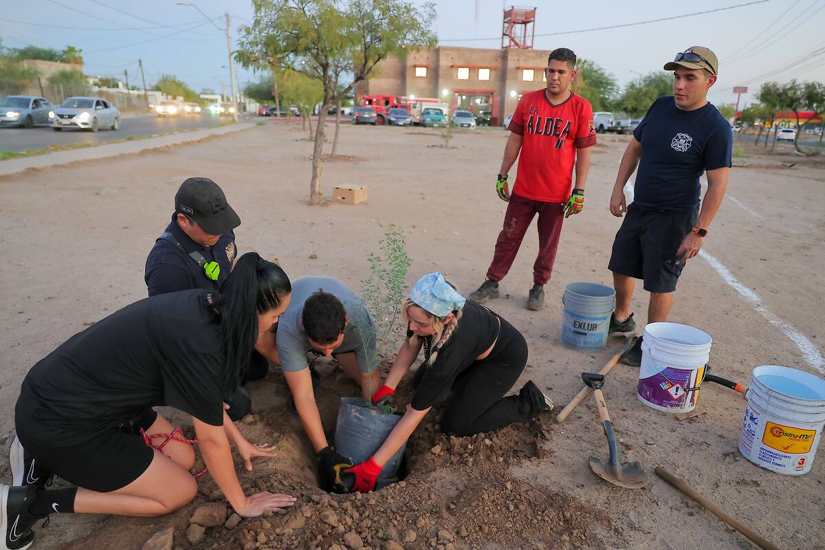 Hiking Club realiza actividades y proyectos de reforestación en Hermosillo