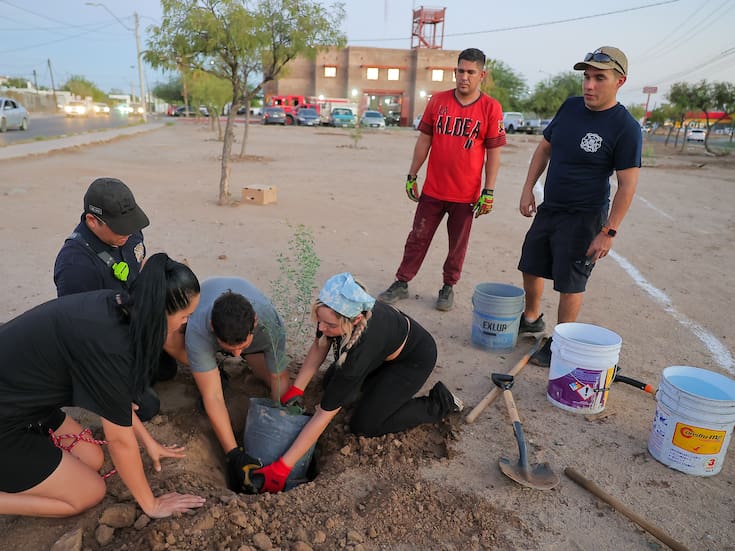 Parral, Chihuahua, inicia plantación masiva de árboles con 200 ejemplares y un programa que busca recuperar espacios urbanos y mejorar la calidad del aire