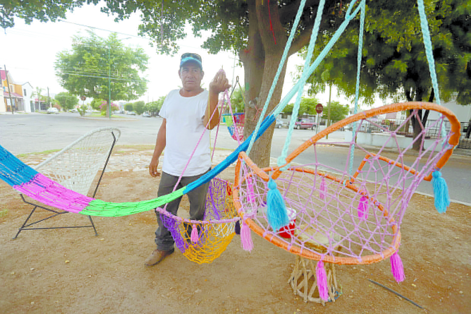 Teje legado familiar