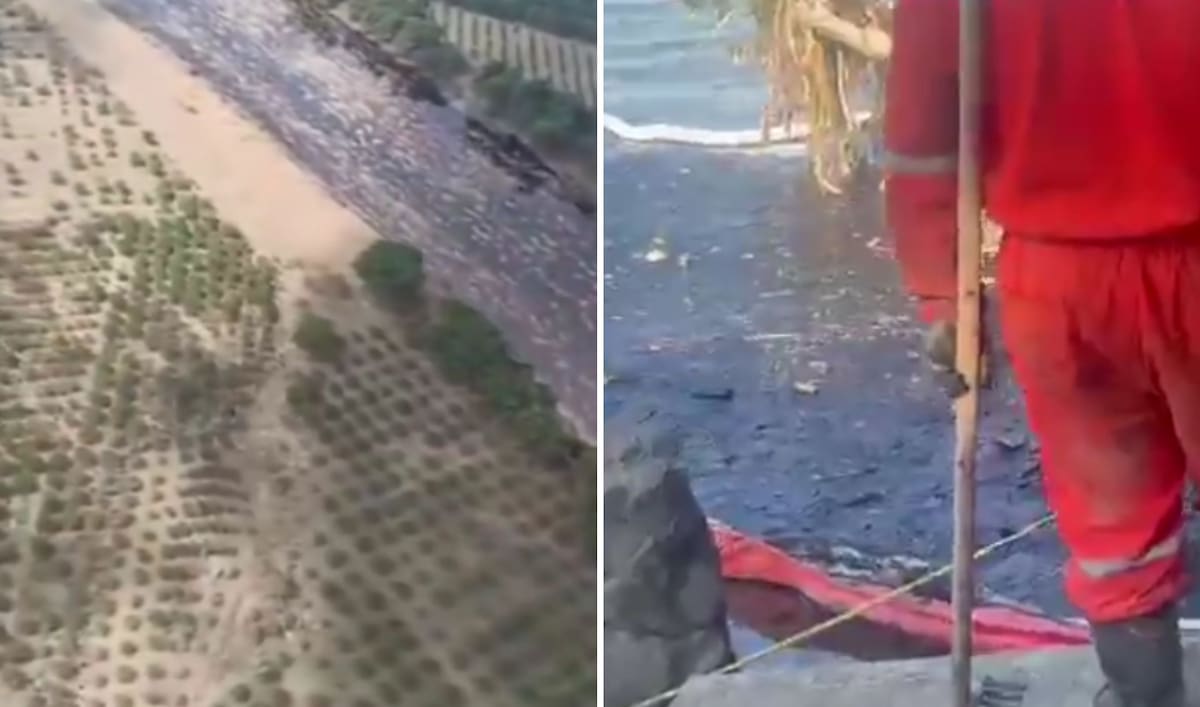 Derrame de petroleo tras lluvias intensas en Veracruz