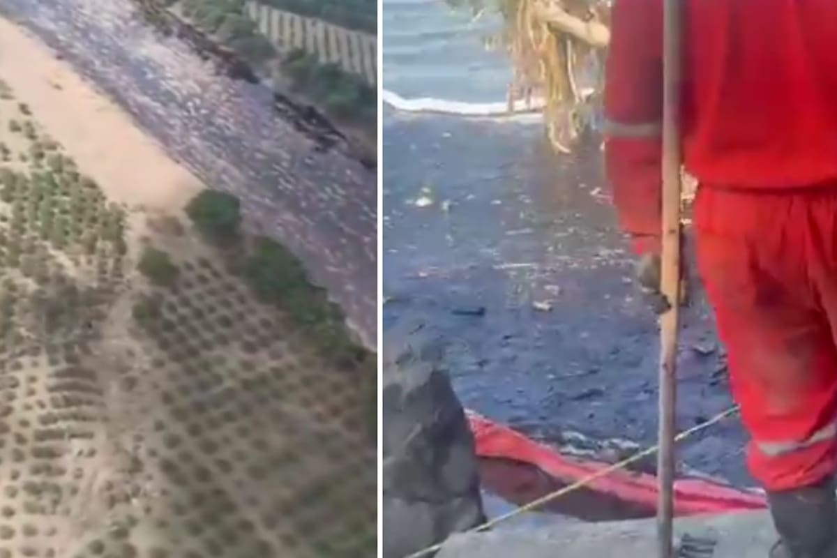 Videos: Así se ve el derrame de hidrocarburo que tiñó el río Pantepec y alcanzó el Tuxpan; Pemex instala barreras y equipos para contener la emergencia ambiental en Veracruz