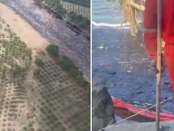 Videos: Así se ve el derrame de hidrocarburo que tiñó el río Pantepec y alcanzó el Tuxpan; Pemex instala barreras y equipos para contener la emergencia ambiental en Veracruz