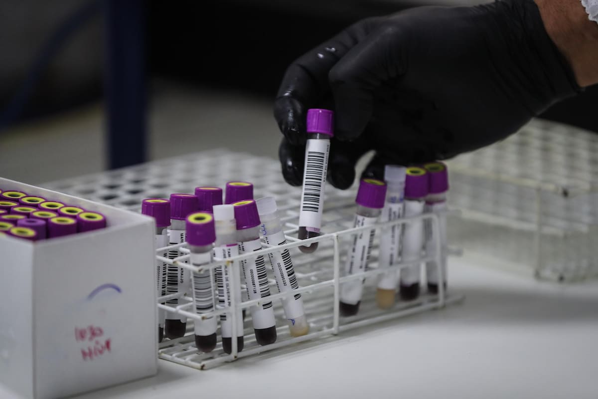Científicos japoneses crean sangre artificial compatible con todos los tipos y de larga duración