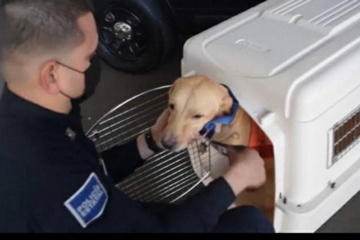 Jubila Policía Estatal a "Pluto" con honores