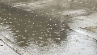 Empapados pero en Disneyland