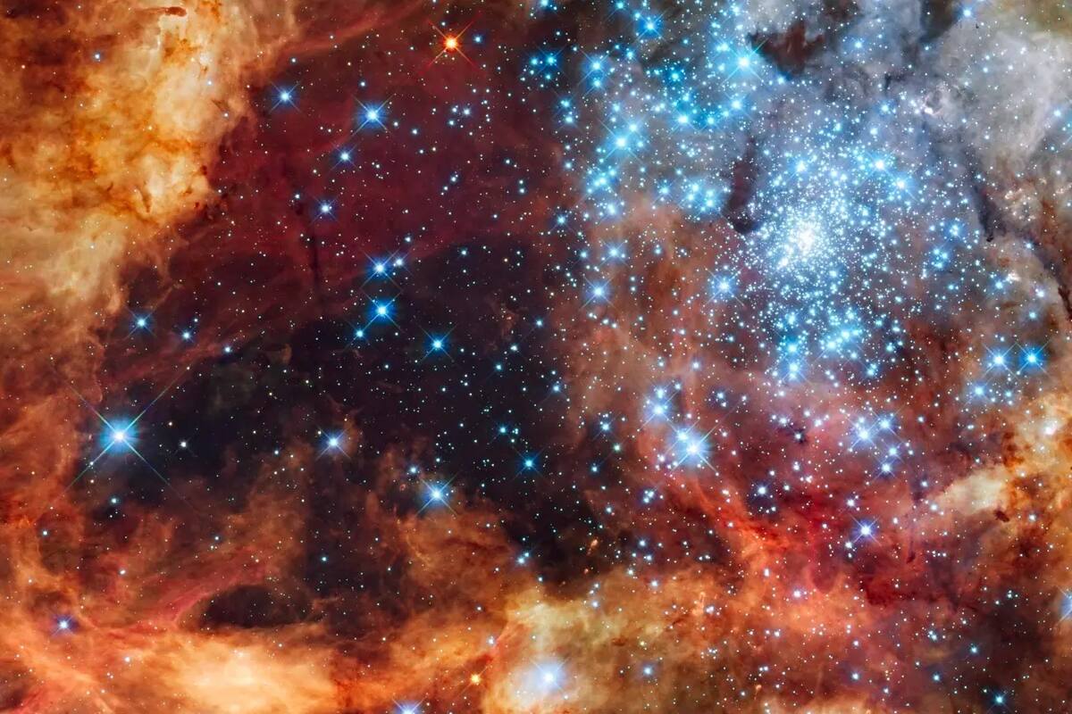 Te gustaría saber que vio Hubble en  la bóveda celeste el día de tu cumpleaños