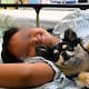 ¿Hospitales en México están admitiendo a perritos para dar terapias? Más de 2,700 pacientes infantiles han encontrado alivio gracias a esta medida