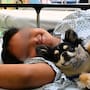 ¿Hospitales en México están admitiendo a perritos para dar terapias? Más de 2,700 pacientes infantiles han encontrado alivio gracias a esta medida